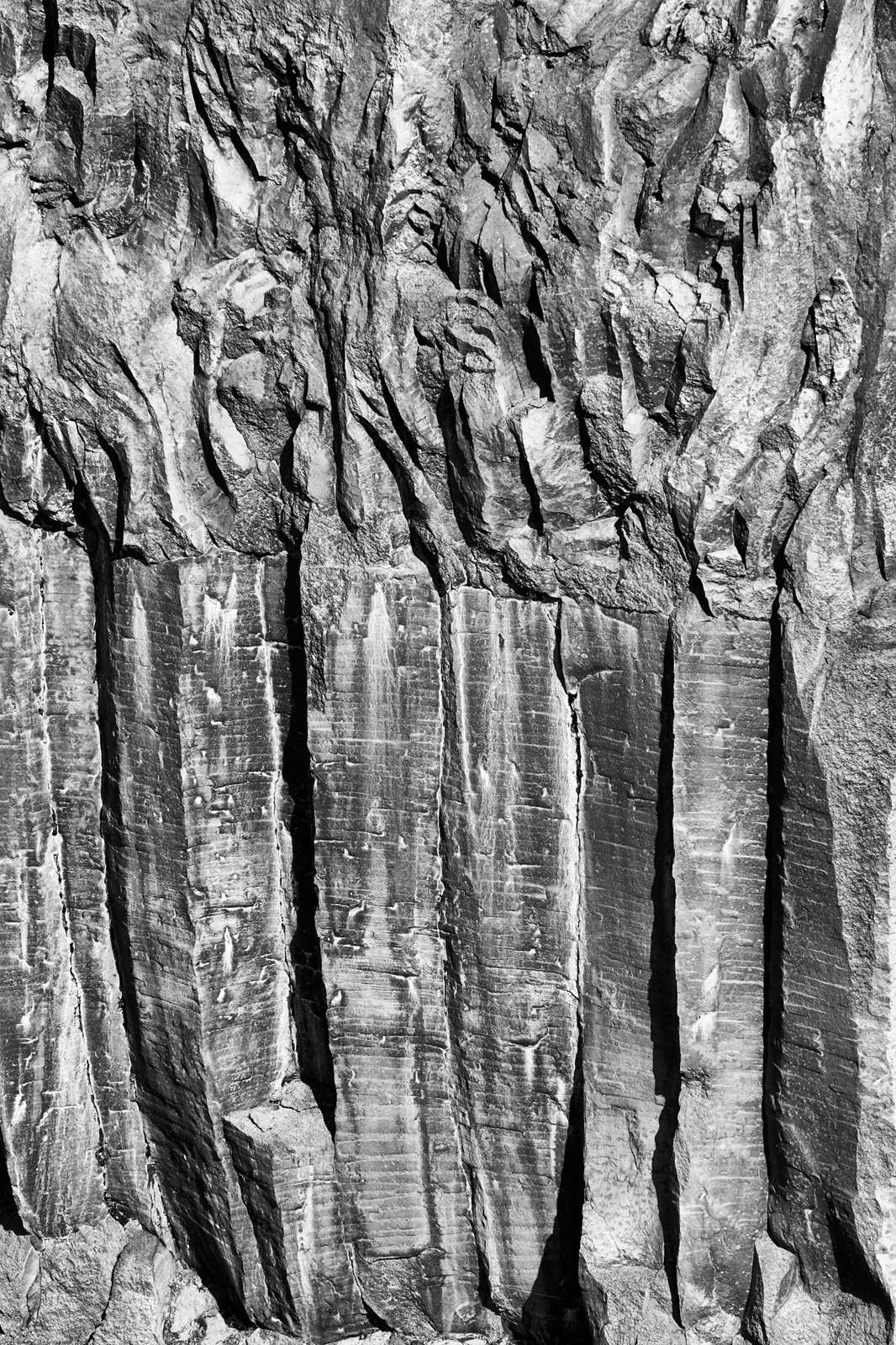47_DSC5526a