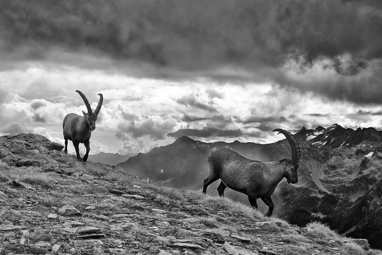 013_L1012848a