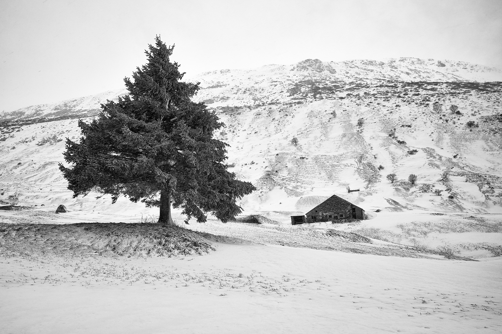042_L1013420a