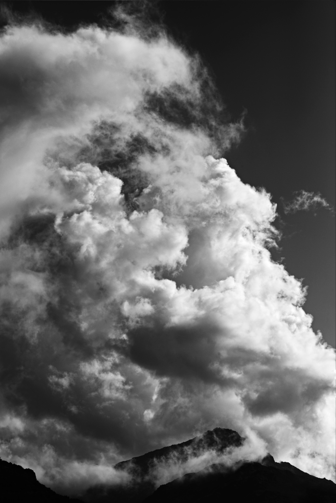 101_L1002136a