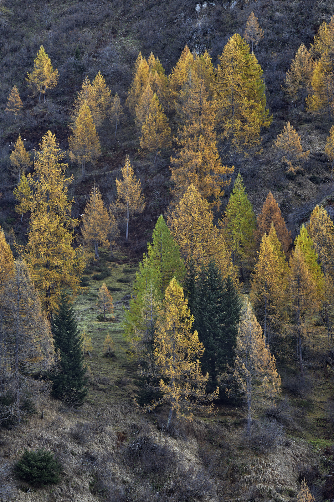 122_L1004124a