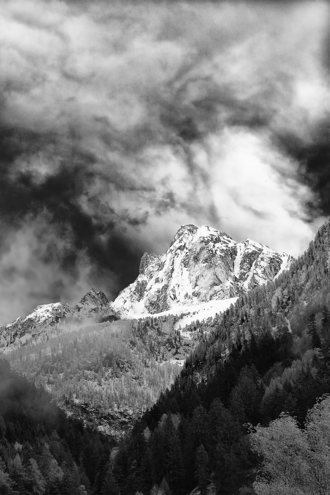 01L1030288a