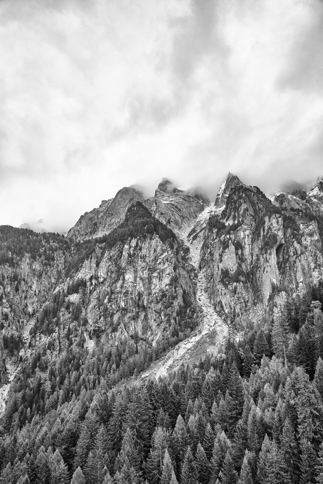 07L1002502a