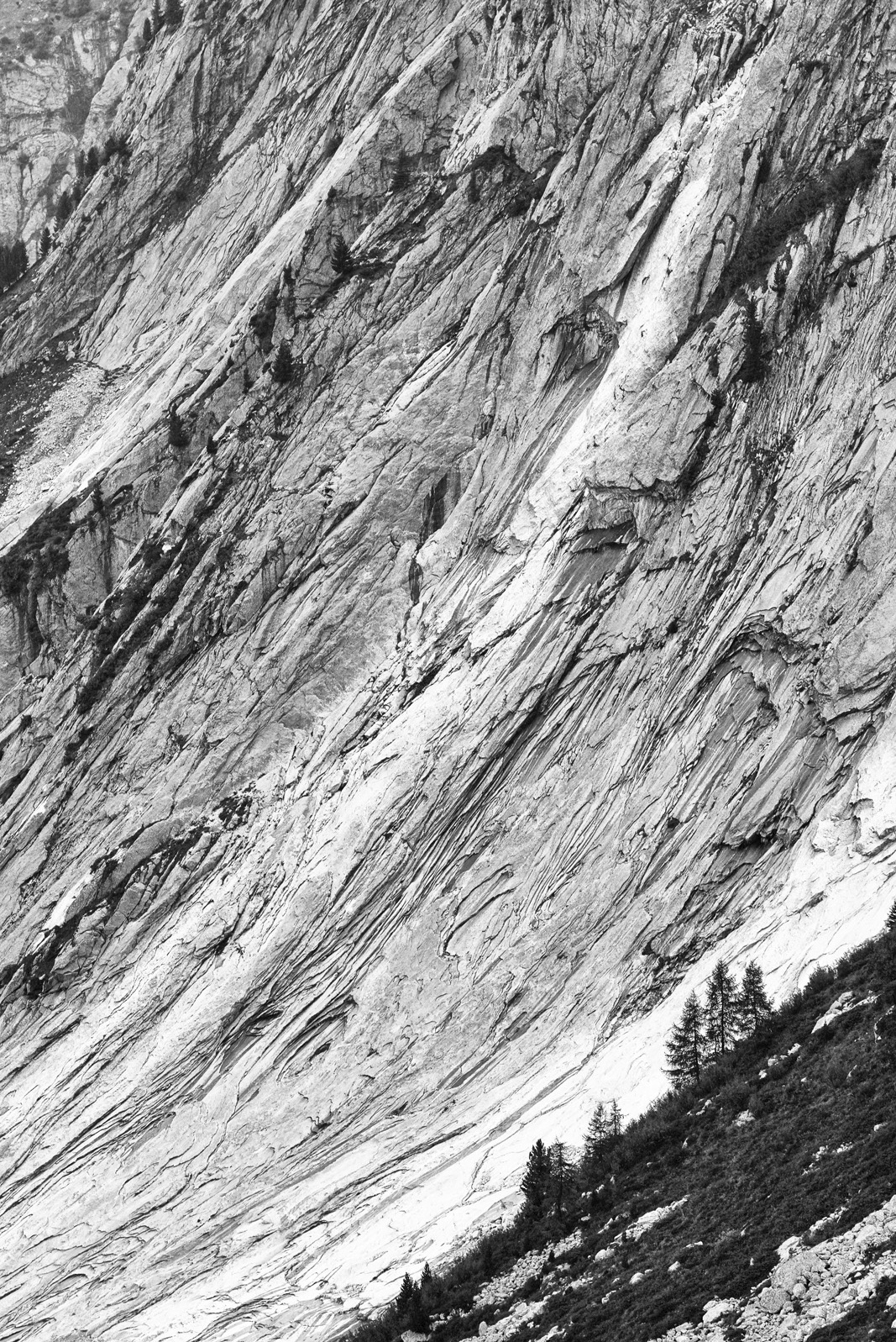 09L1002562a