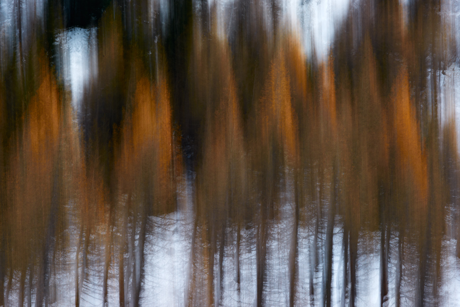 32_DSC3026b