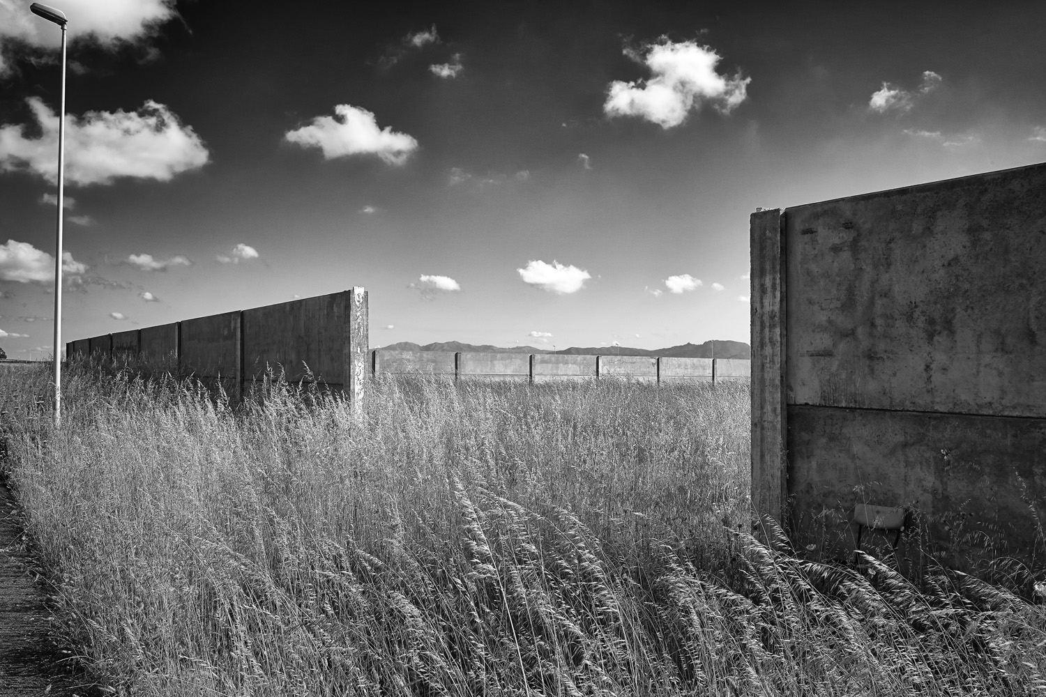 15L1010285a