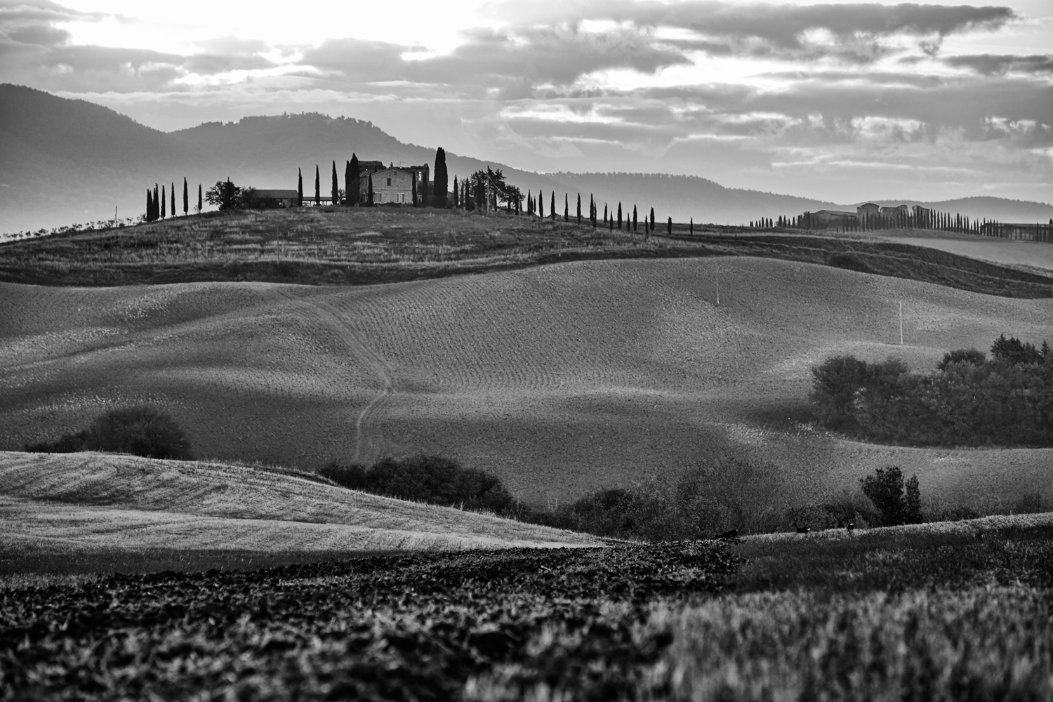 15_DSC0251a
