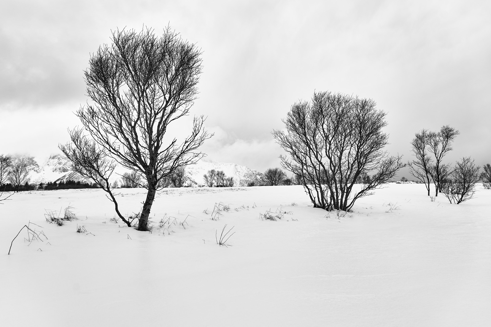 04L1080237a