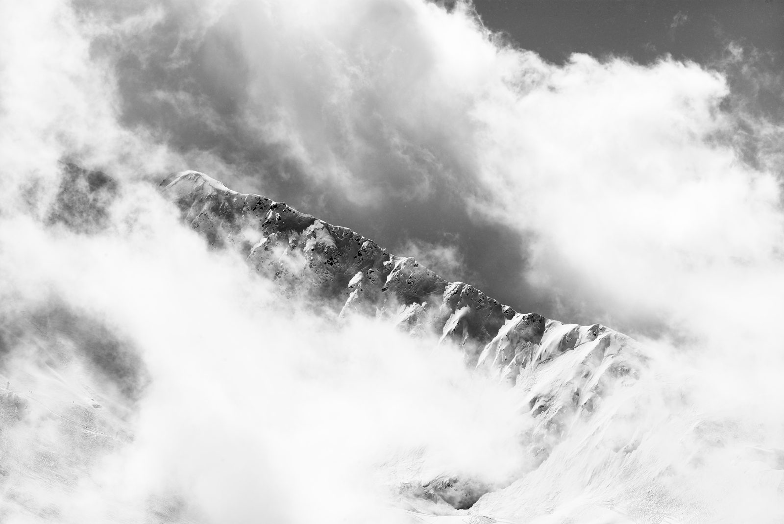 06L1005239a