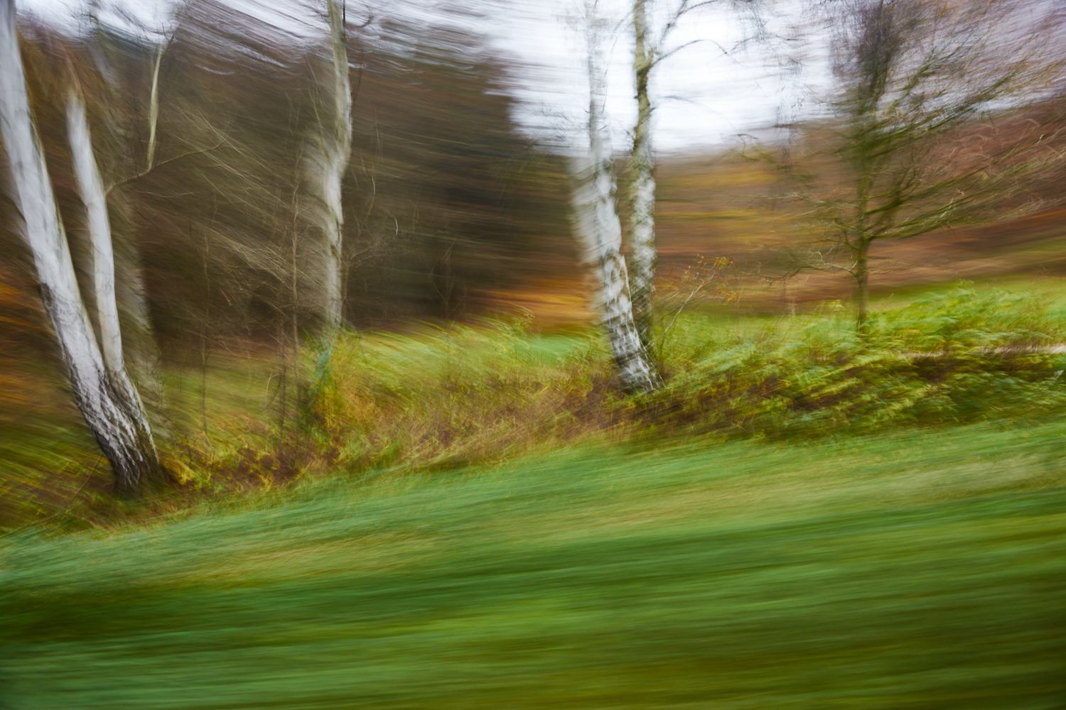 12_DSC7500a