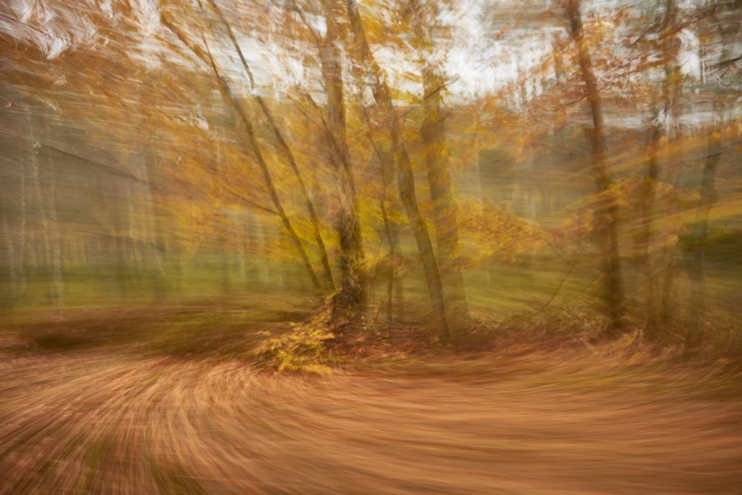 15_DSC7590a